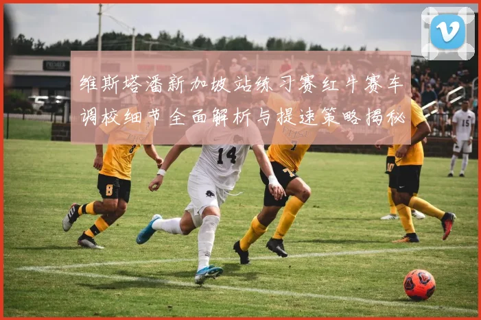 维斯塔潘新加坡站练习赛红牛赛车调校细节全面解析与提速策略揭秘