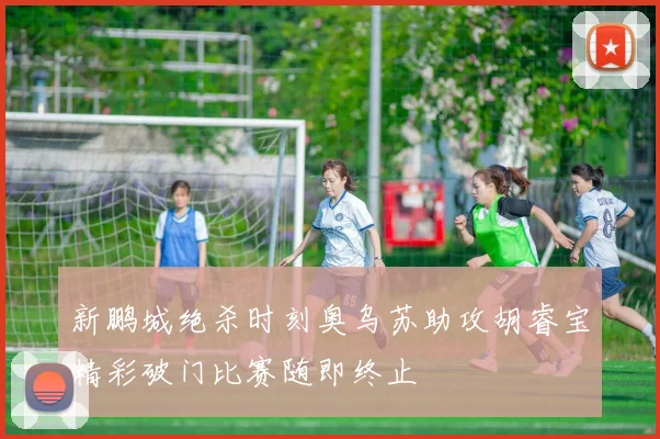 新鹏城绝杀时刻奥乌苏助攻胡睿宝精彩破门比赛随即终止